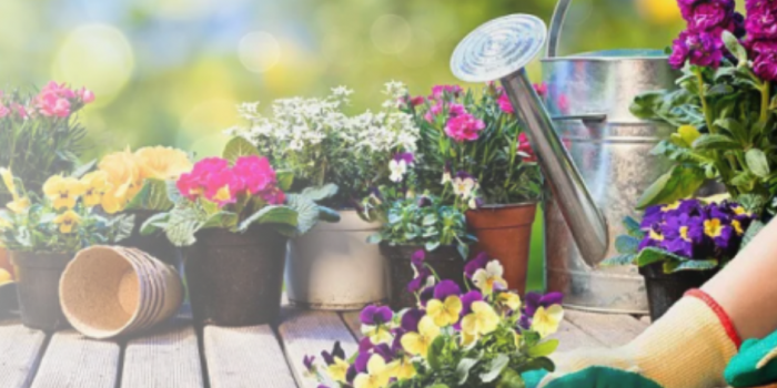 промокоды агрофирмы поиск от БериКод