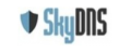 SkyDNS промокоды