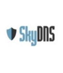SkyDNS промокоды