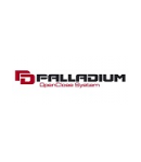 Купон Palladium
